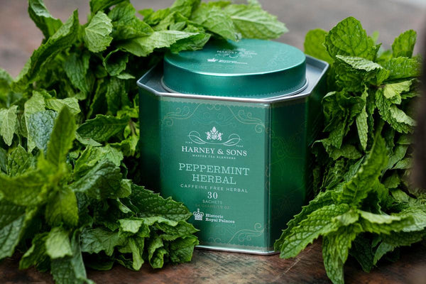 Herbal Teas That Are Good for Digestion - Premium Teas Canada